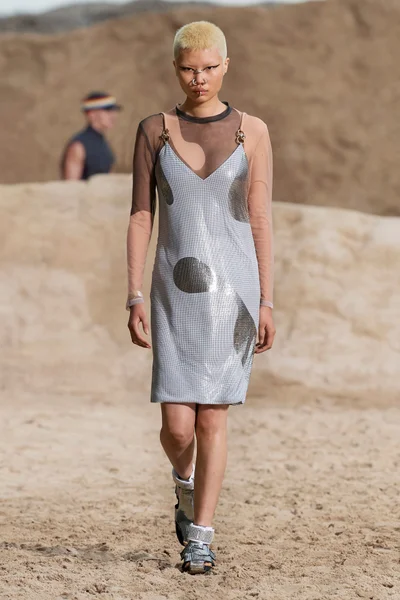 Look 26